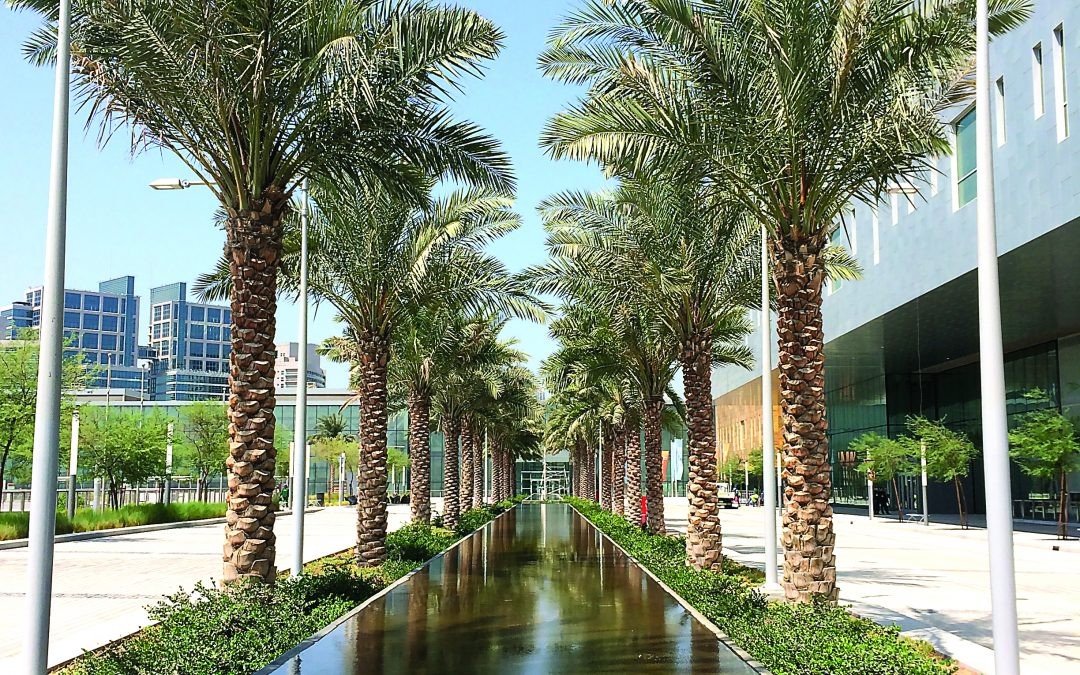 Cleveland Clinic, Abu Dhabi