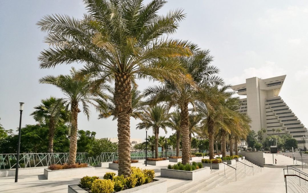 Public Green Space – Sheraton Park, Doha