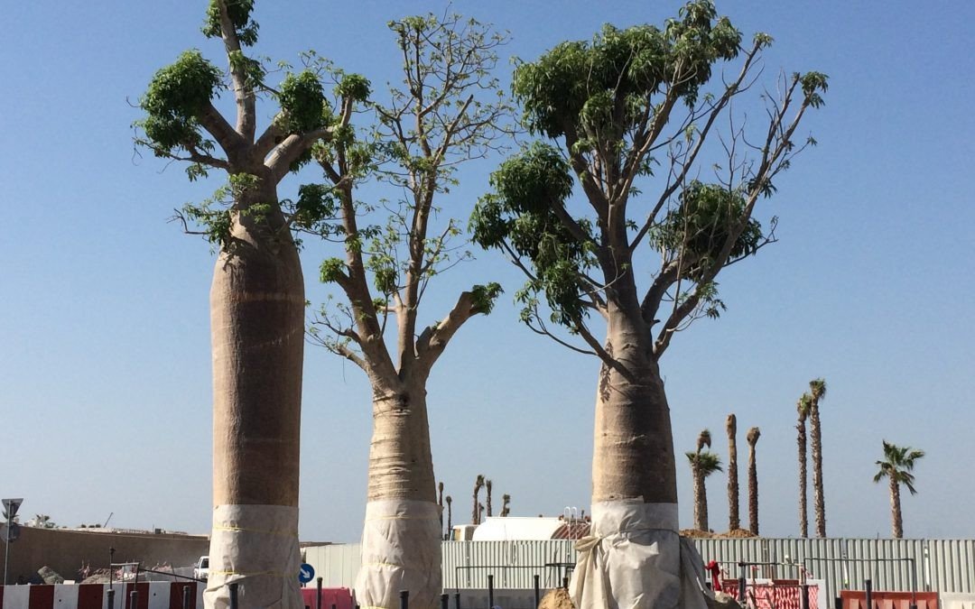 Jumeirah Bay Island – Dubai