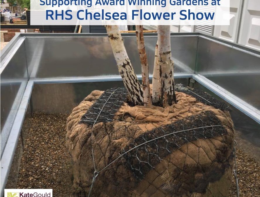 Congratulations to all the Award Winners at RHS Chelsea Flower Show
