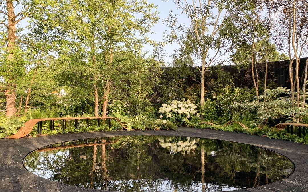 Smart Meter Garden – RHS Hampton Court Flower Show