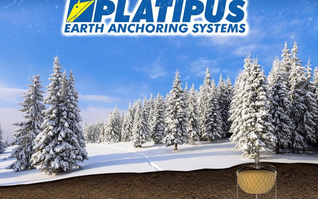 The Platipus team would like to wish you a Happy Christmas and a very successful 2020