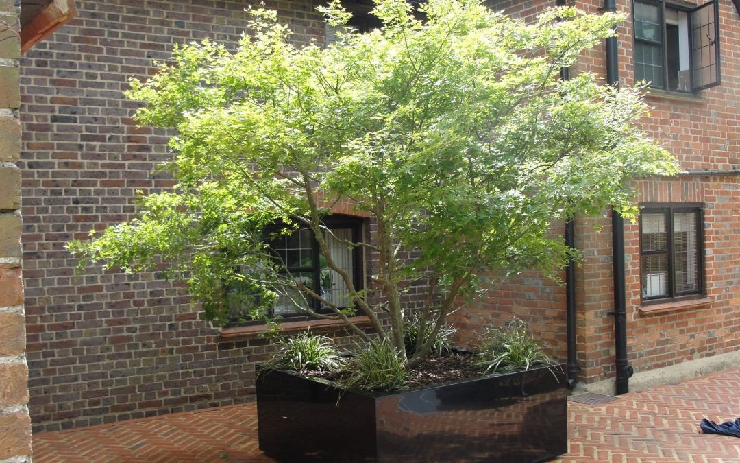 Platipus Landscape Solutions, new G-ROOF product