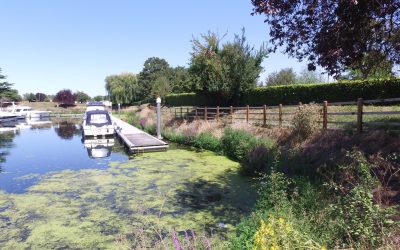 DJI_0107 Penton Hook Marina