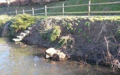 Penton Hook Marina - Client Photos Feb 2018 (4) River embankment
