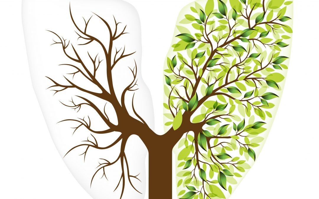 Support National Tree Week