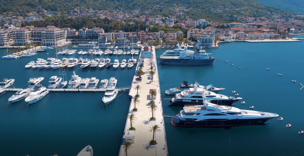 Fantastic View of palm trees planted in Montenegro