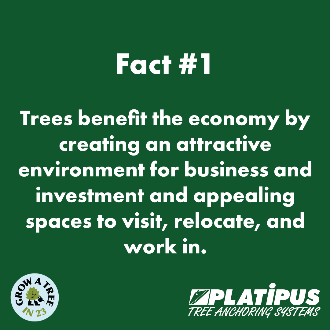 National-Tree-Week---Monday-02