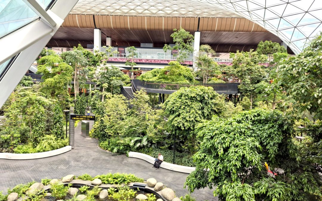 The Orchard, Hamad International Airport – Qatar