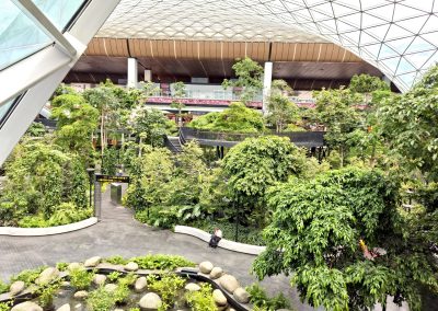 The Orchard, Hamad International Airport – Qatar