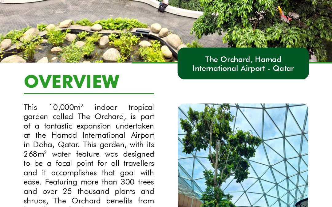 The Orchard, Hamad International Airport – Qatar