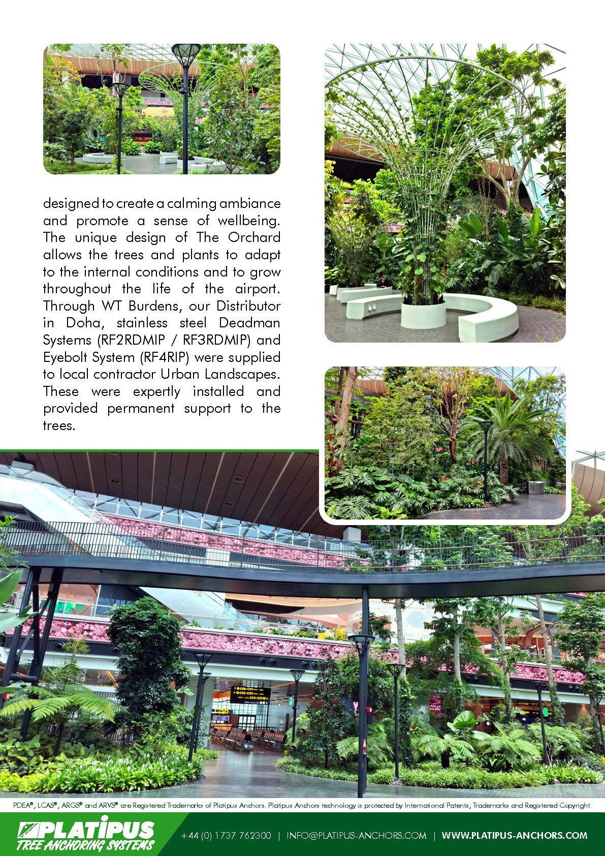 Case Study - The Orchard, Hamad International Airport - Qatar