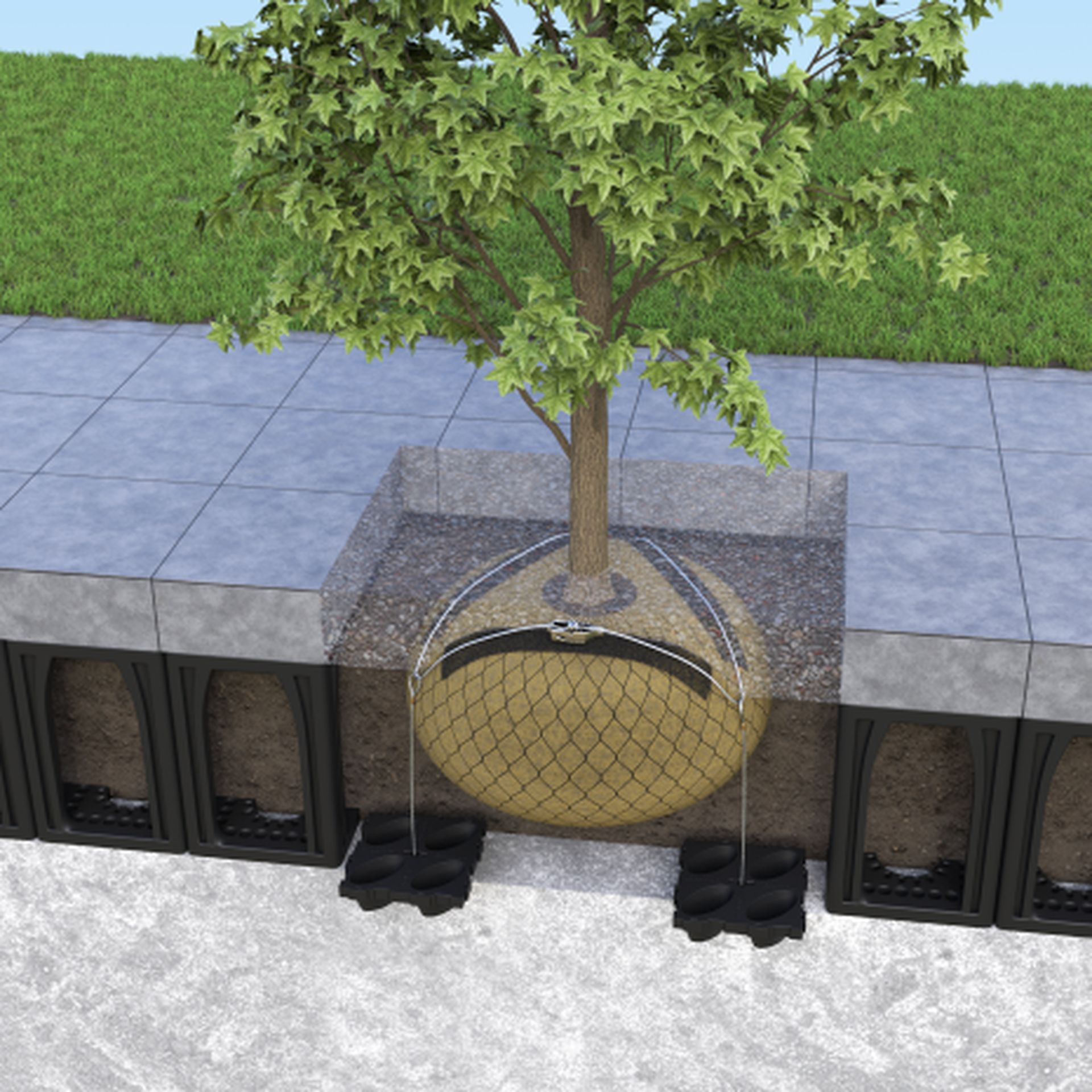 SuDs with D-MAN® Fixing System LowRes D-MAN for Suds Platipus Tree Anchoring illustration