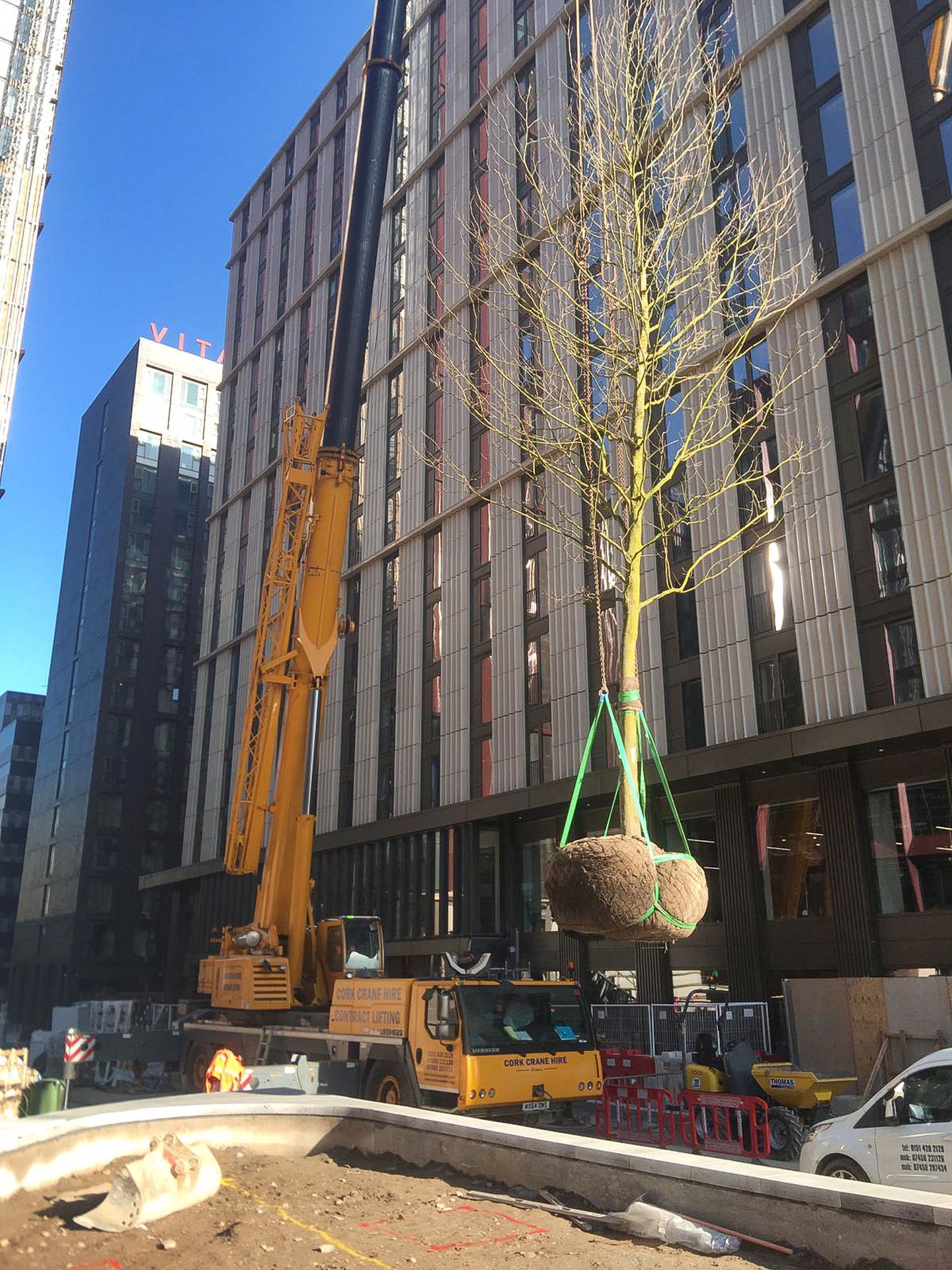 Symphony Park, Circle Square, Manchester (04) - enhanced Large crane hoisting a tree with wrapped roots at a city development site for landscaping.