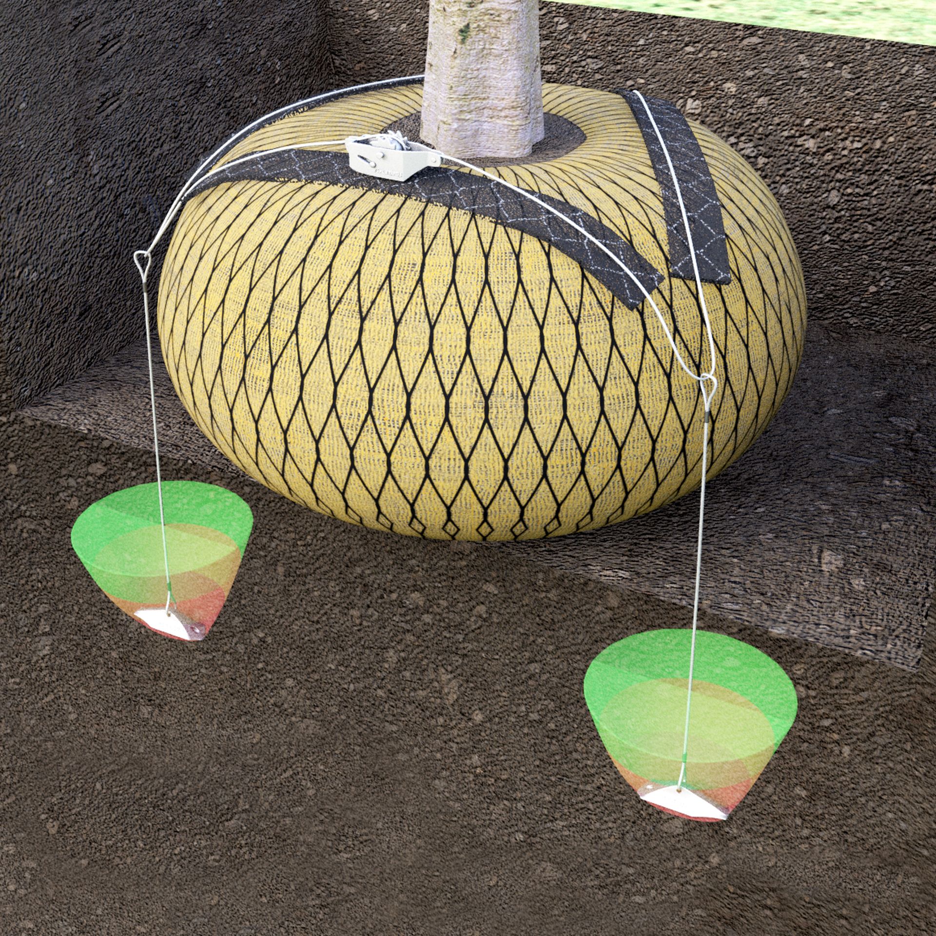 RF1P Platipus Tree Anchoring illustration