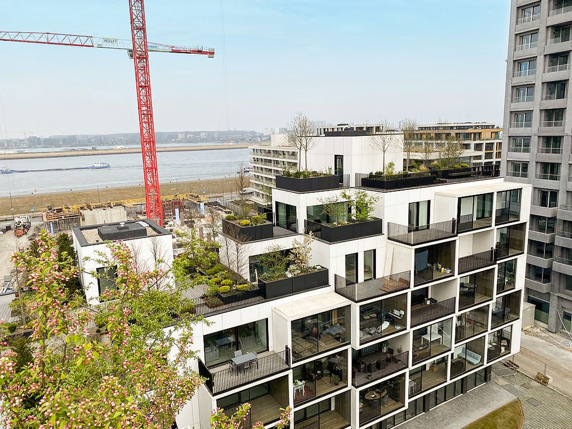 WhatsApp Image 2022-06-15 at 4.49.49 PM (1) - enhanced Eco-friendly residential building with tiered design and rooftop greenery in Antwerp, Belgium, designed by Stefano Boeri Architetti.