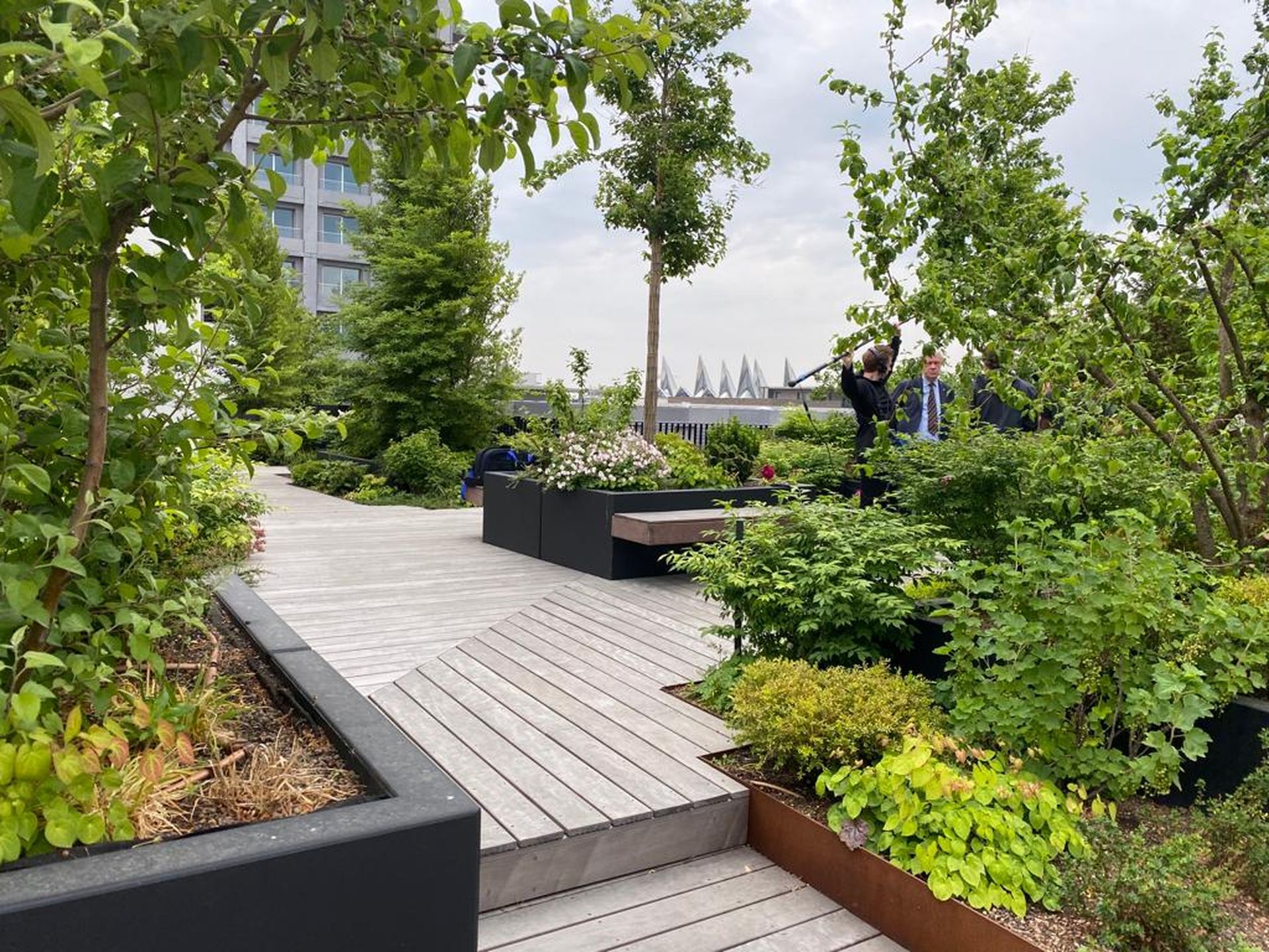WhatsApp Image 2022-06-15 at 4.49.49 PM Eco-friendly residential building with tiered design and rooftop greenery in Antwerp, Belgium, designed by Stefano Boeri Architetti.