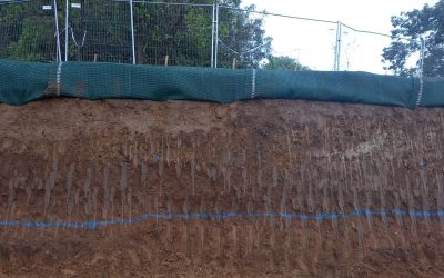 1 Excavated slope awaiting stabilisation with earth anchors