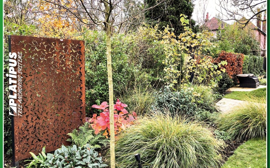 No Project Too Big or Small for Platipus Tree Anchors