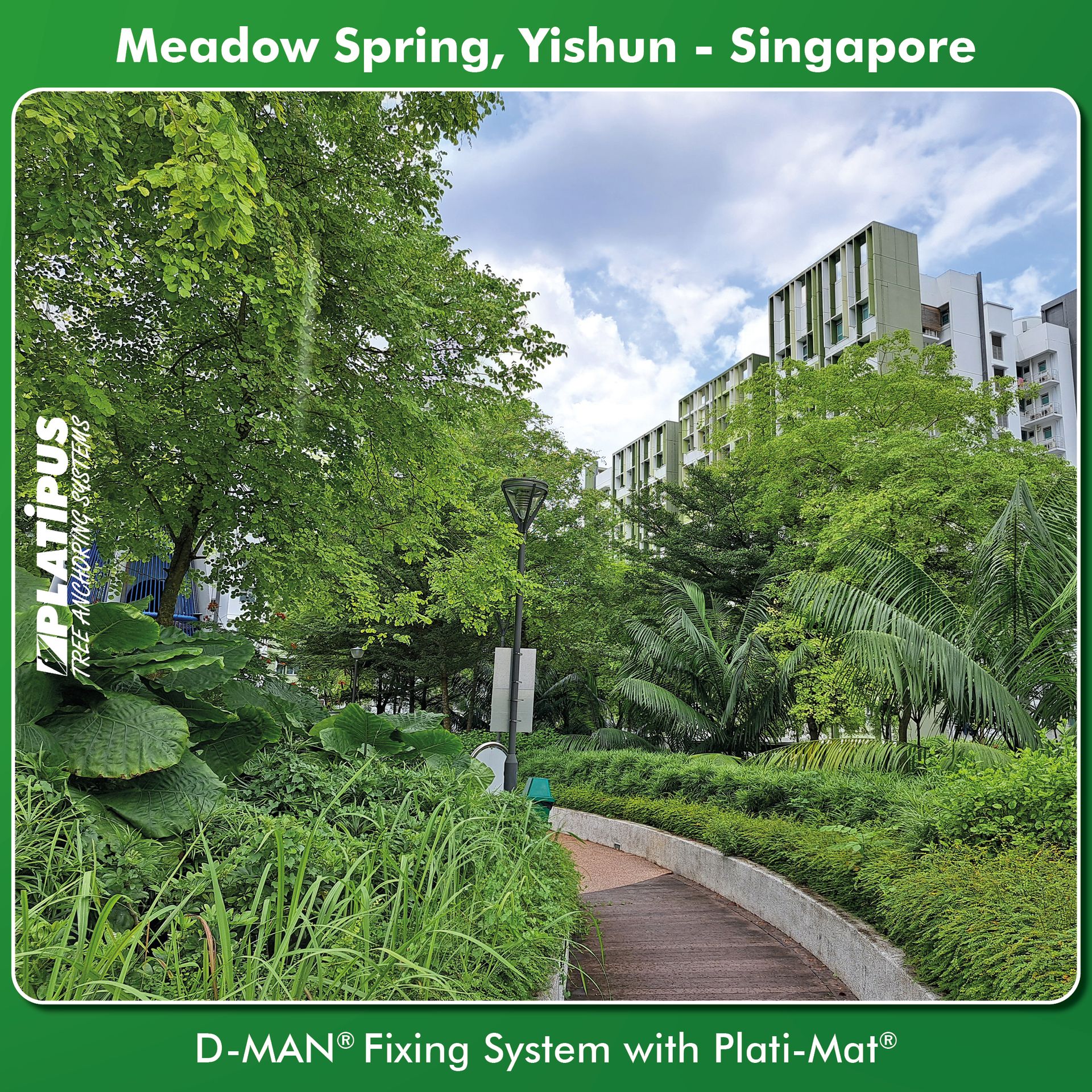 Tree Anchoring Big or Small-08 Meadow Spring rooftop garden in Singapore