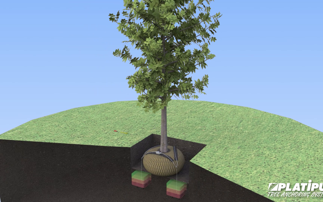Platipus RF1PDMAN Tree Anchoring System