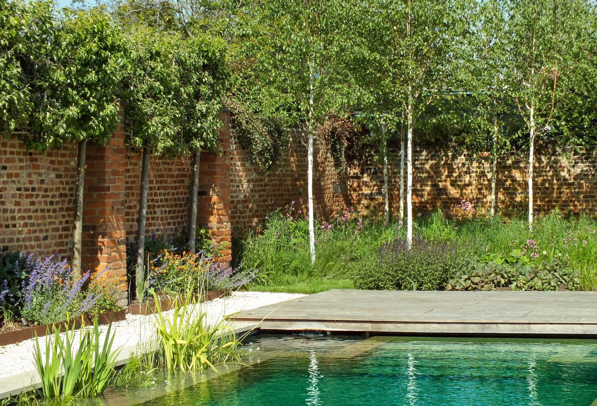 01 Hertfordshire walled garden with natural swimming pool that used Platipus Tree Anchors
