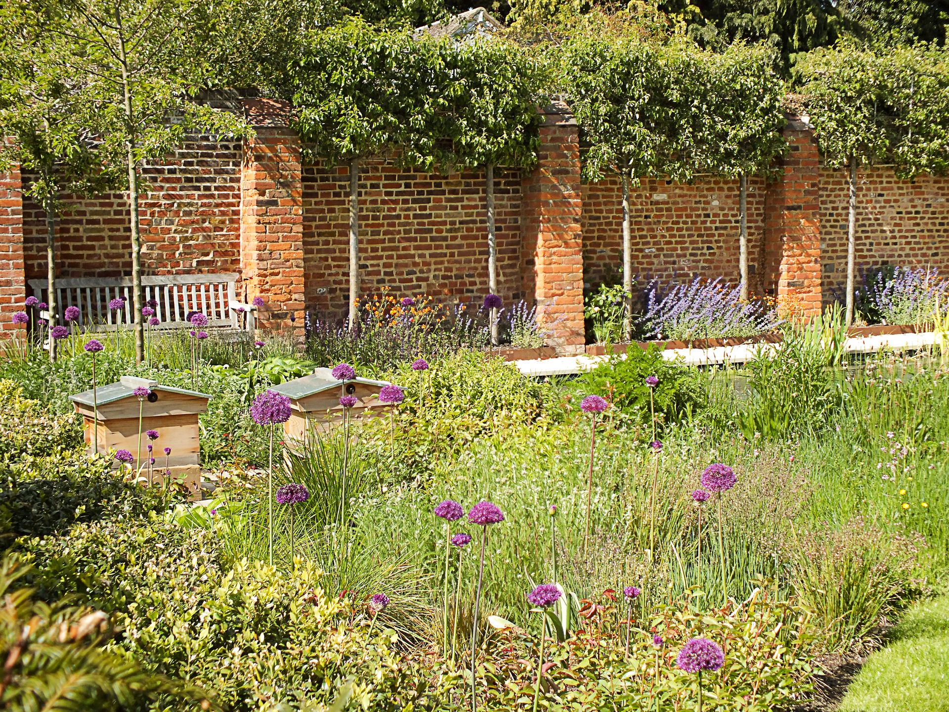 02 Hertfordshire walled garden with natural swimming pool that used Platipus Tree Anchors