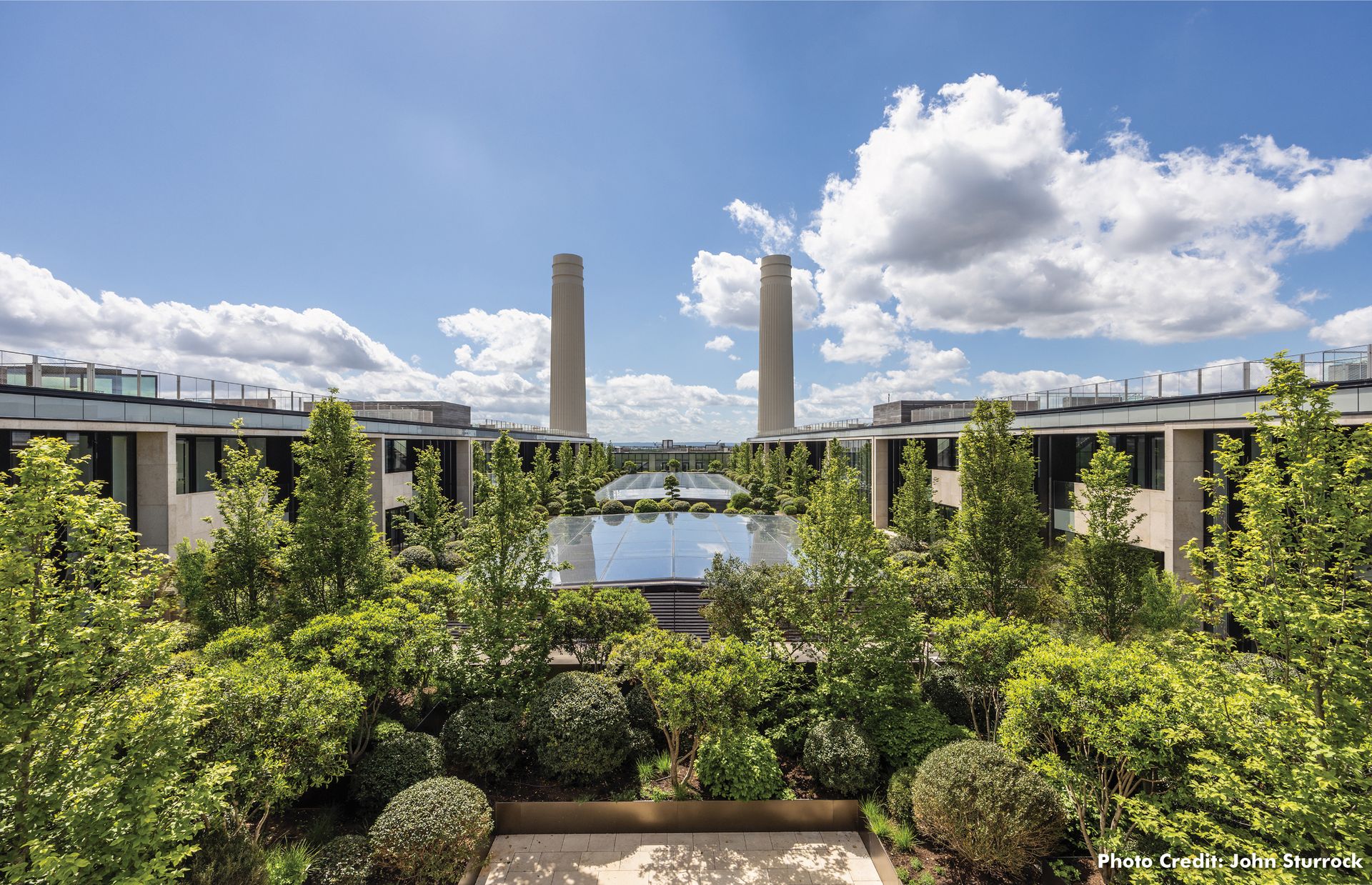 Tree anchoring on Battersea Power Station roof top