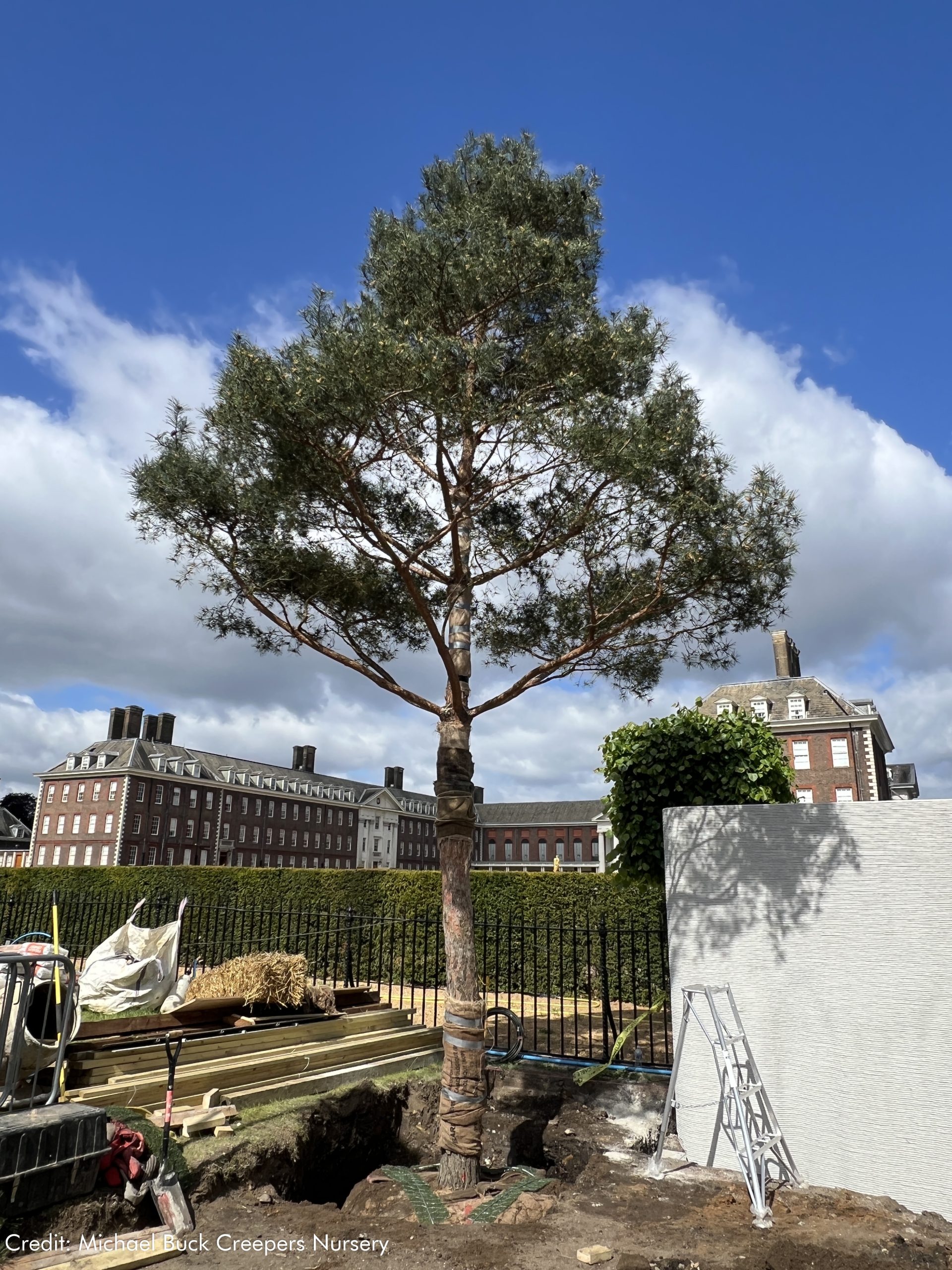 RHS Chelsea Flower Show 2025 Killik & Co ‘Save for a Rainy Day Garden’ with Platipus Tree Anchoring Systems
