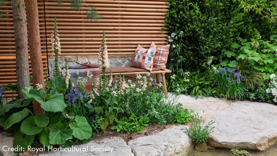 RHS Chelsea Flower Show 2025 Killik & Co ‘Save for a Rainy Day Garden’