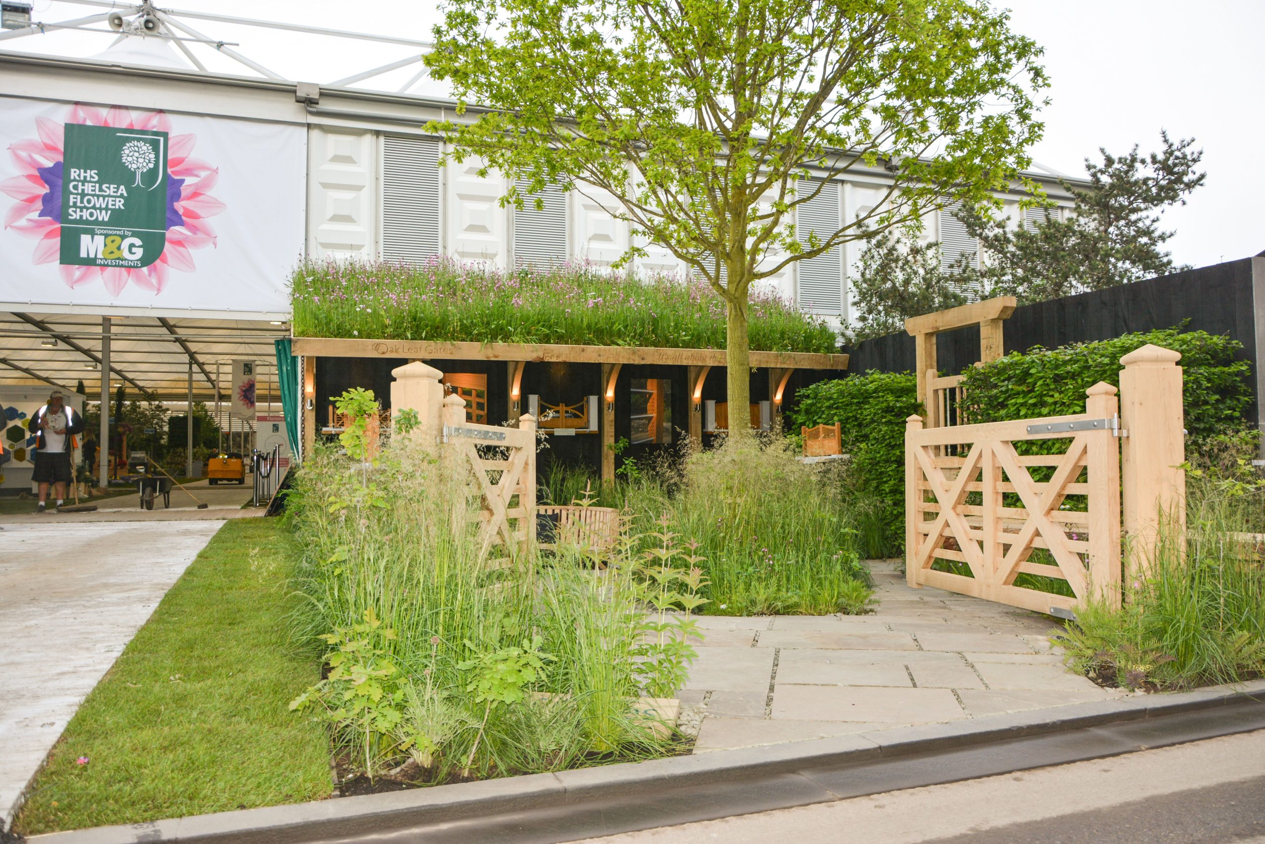 06 RHS Chelsea Award Winning Garden