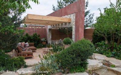 RHS Chelsea Flower Show 2025 has almost concluded