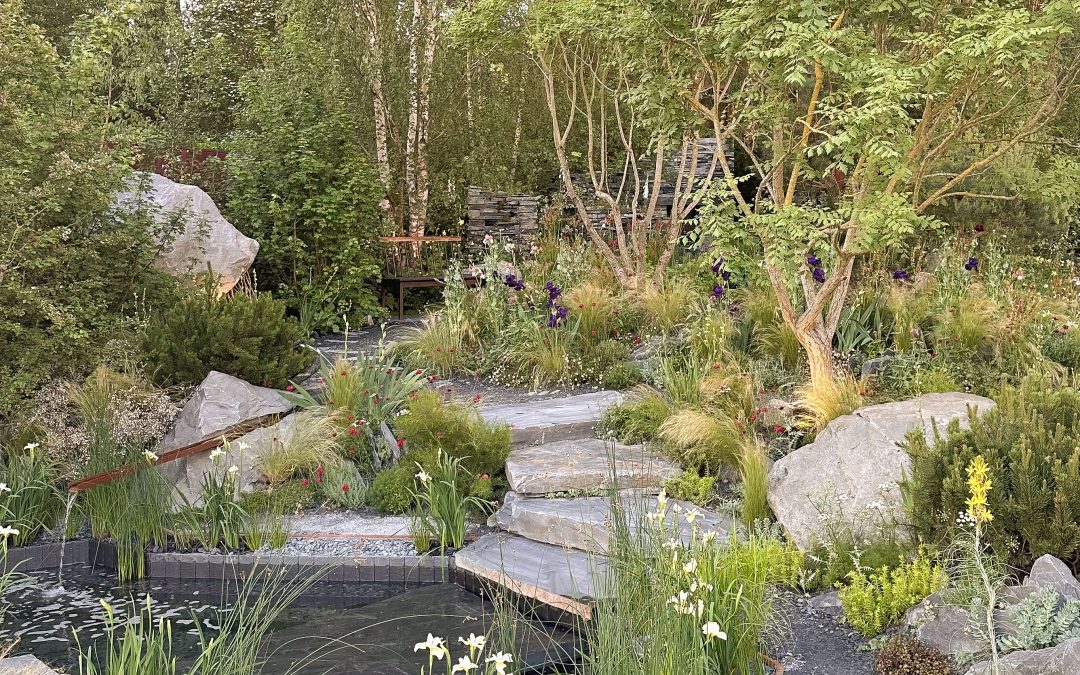 Webinar: “Bridge to 2030 Garden” – The award winning RHS Chelsea garden