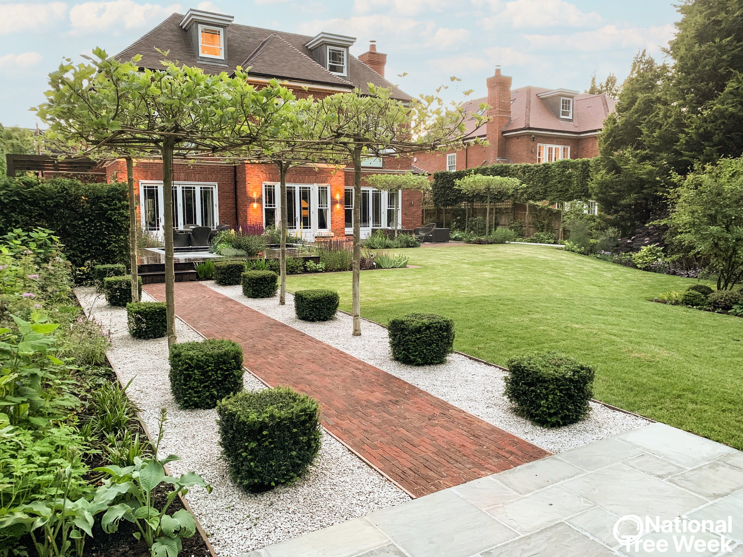 Ascot 1-enhanced Pleached trees secured using underground anchors