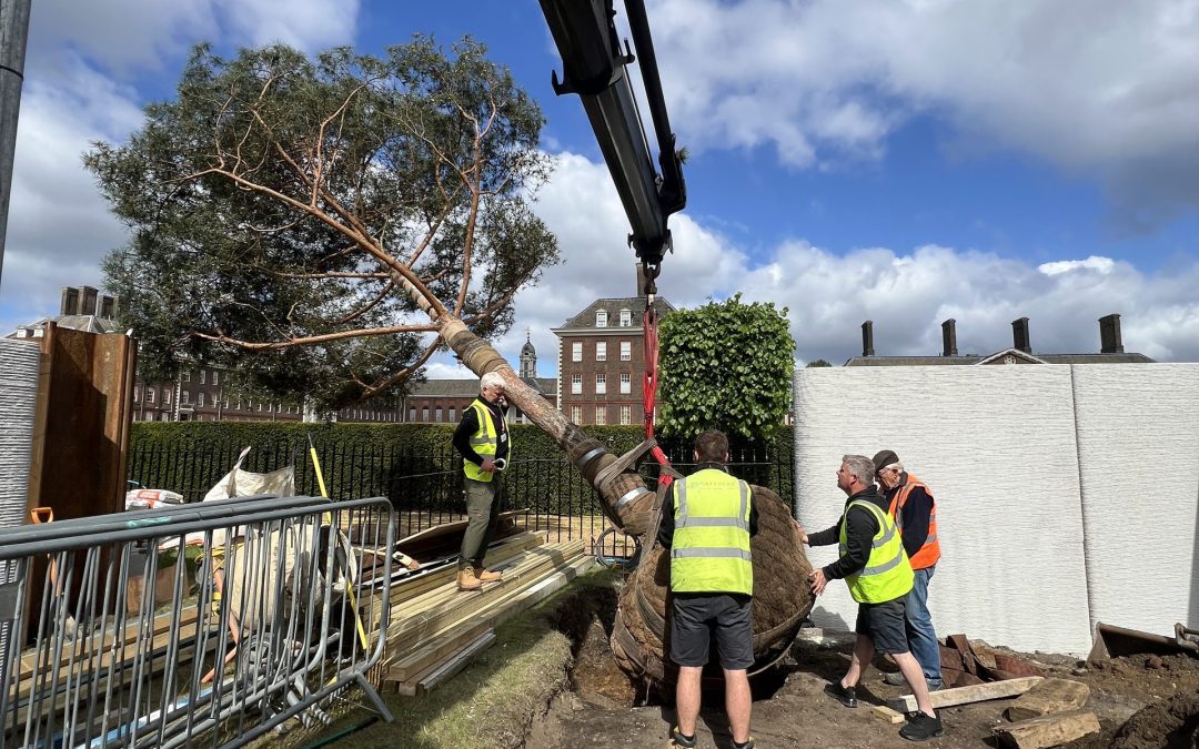 National Tree Week 2025 – Start Planting